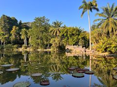 -中国科学院西双版纳热带植物园