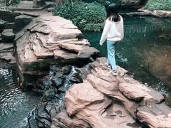 -大屏嶂森林公园