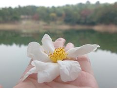 -南京市无想山景区