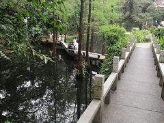 -广州兰圃