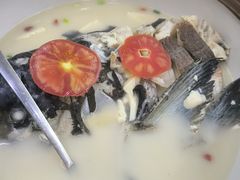 -全乐鱼馆·淳牌有机鱼直营店