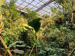 -呀路古热带植物园