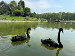 -北京野生动物园