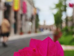 -赤坎·广东华侨国际旅游度假区