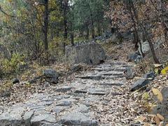 -阳台山自然风景区