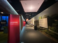 -九龙公园