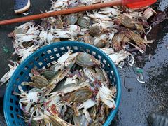 -芦潮港集贸市场