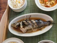 -福田家月子中心 产后 月嫂(市立母子医院店)