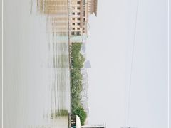 -朝阳公园