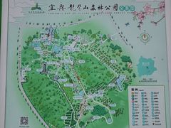 -宜兴龙背山森林公园