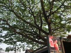 -Cheevit Cheeva(Sirimangkalajarn)
