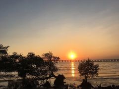 -宝安西湾红树林湿地公园