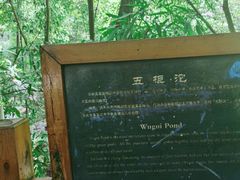 -凤栖山