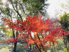 -汇龙潭