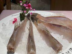 -蜀九香火锅(玉林店)