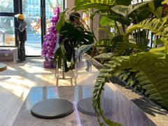 -Seesaw Coffee(88铜仁路店)