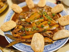 -张鸟园农家乐(张鸟园店)