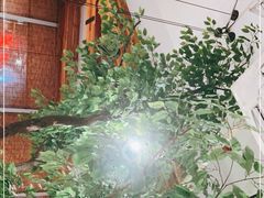 -蜜桃餐厅·伴山(湖滨商业街店)