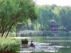 -北坞公园