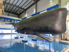 -上海海洋大学鱼文化博物馆(军工路校区)