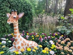 -上海共青森林公园