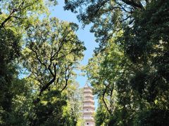 -灵谷景区
