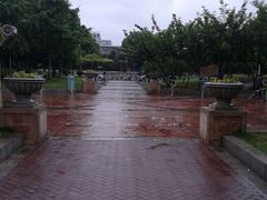android_upload_pic-双拥公园
