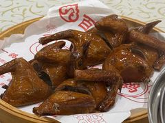 -百利鸽王(紫薇路店)