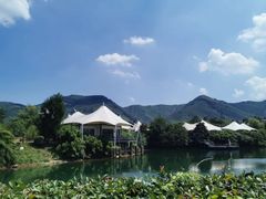 -帐篷客·溪龙茶谷度假酒店