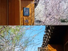 -三里河公园
