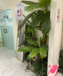 -健身堂科技美肌SPA