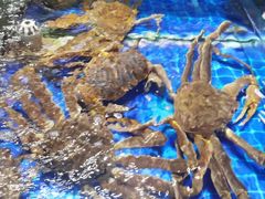 -四道口水产市场