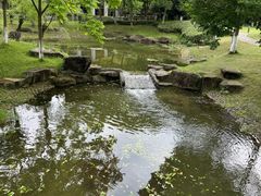 -锦园餐厅(九龙湖开元度假村店)