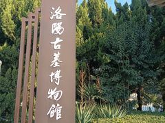 -洛阳古墓博物馆