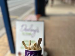 -Dooley's Premium Ice Cream