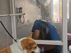 -宠福鑫康馨动物医院·骨科·眼科