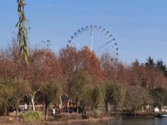 -宜兴龙背山森林公园