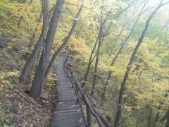 android_upload_pic-吊水壶国家森林公园