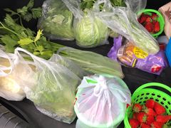 -田趣农庄草莓采摘园