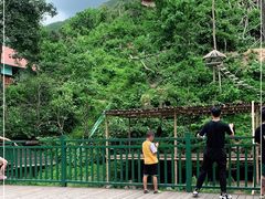 -西双版纳原始森林公园