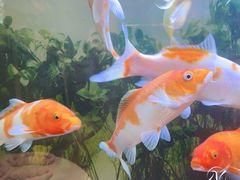 -青岛利群四方购物广场