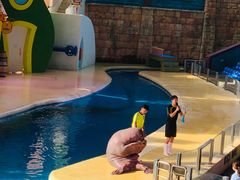 -帝企鹅自助餐厅•儿童岛•真企鹅(长隆企鹅酒店)