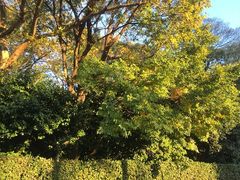 -维乐口腔医院(福清院)