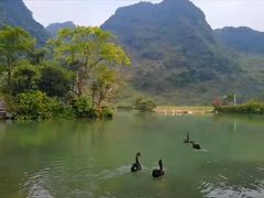 -靖西鹅泉风景区
