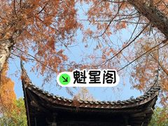 -汇龙潭
