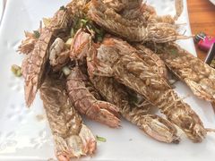 -食海部落
