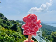-亚龙湾热带天堂森林公园