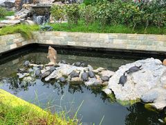 -八景休閒山莊  廣東十大名山莊