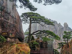 -黄山白云宾馆
