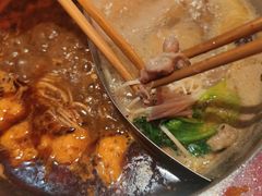 -傣妹火锅(新桥店)